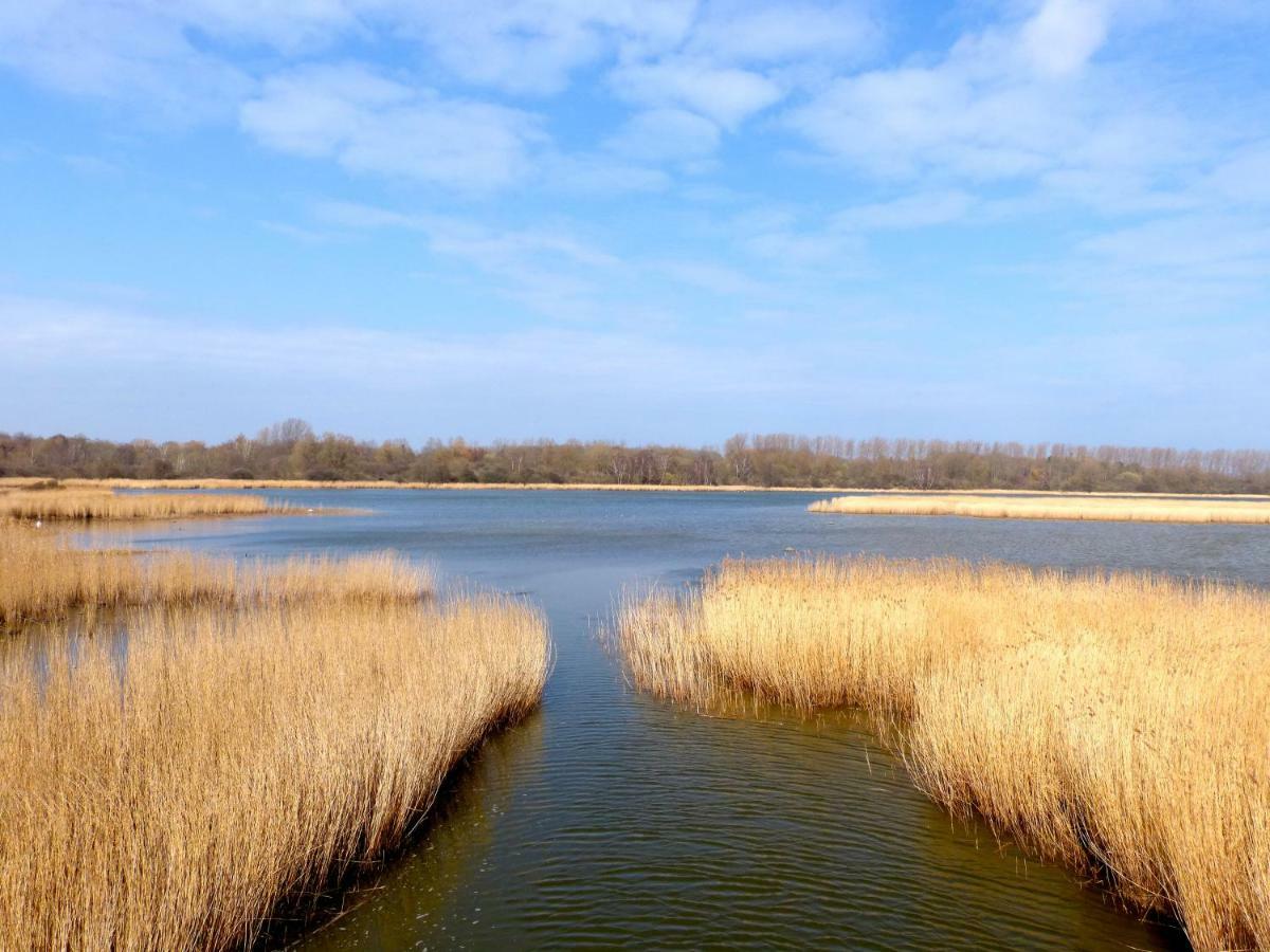 Gemuetliches Apartment In Strandnaehe ดรันส์เคอ ภายนอก รูปภาพ