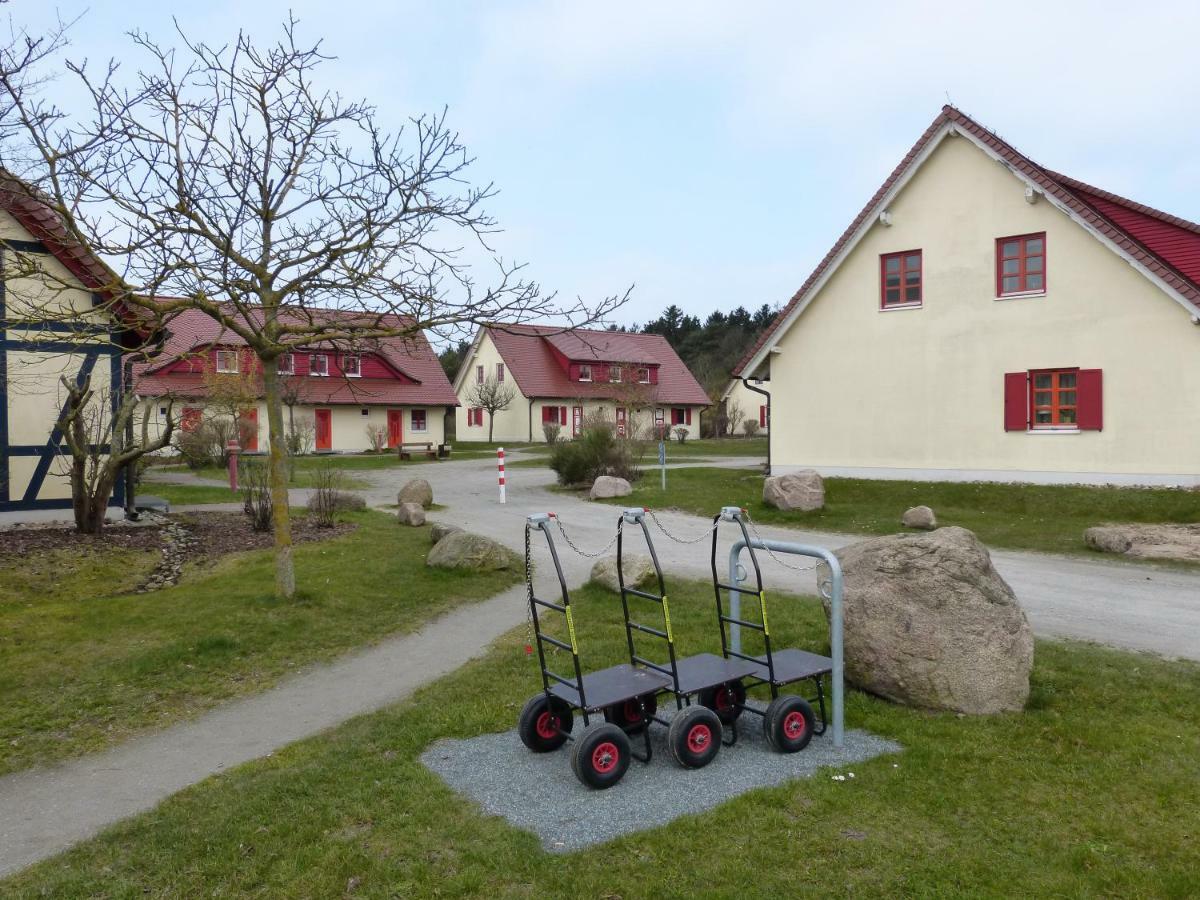 Gemuetliches Apartment In Strandnaehe ดรันส์เคอ ภายนอก รูปภาพ
